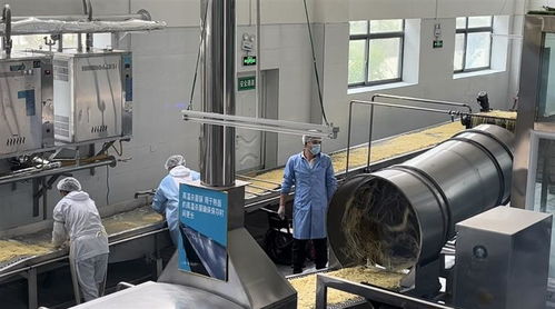 从甜茶馆商标注册看拉萨服务创新与监管协同