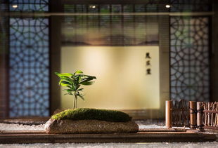 扬州精品茶叶店装修与茶楼设计装潢——尽在扬州宏钜茶馆服务